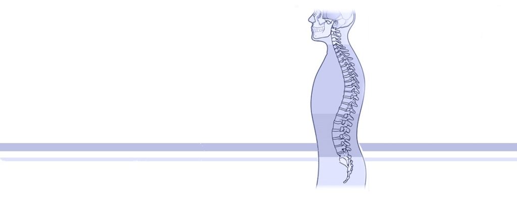 Know your spine
